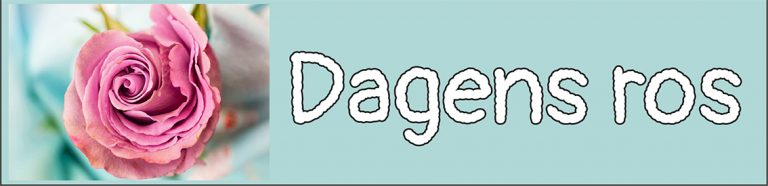 Dagens ros