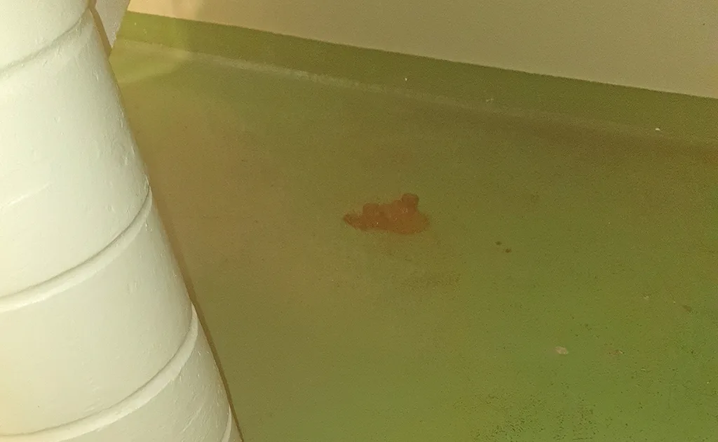 Bild från en trappuppgång där någon har lämnat avföring.