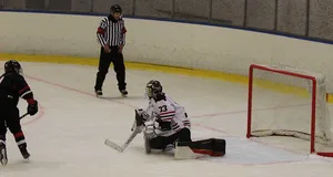 Ishockey, Bandy
